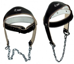 Head Harness