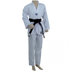 Taekwondo