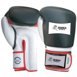 kick Boxing Glove