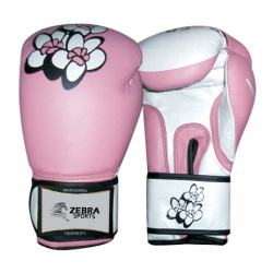 Women Boxing