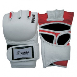 MMA Glove