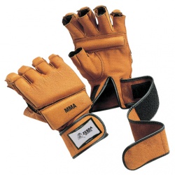 MMA Glove