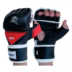 MMA Glove