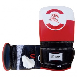 Punching Bag Mitts
